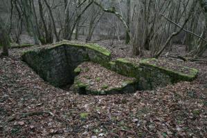 Ligne Maginot - MEISTERBUSCH 9 - (Cuve pour arme d'infanterie) - La cuve