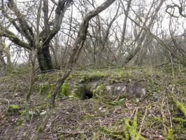 Ligne Maginot - TIEFGRABEN - (Abri) - Vue générale