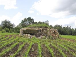 Ligne Maginot - WEIDESHEIM 1 - (Blockhaus pour arme infanterie) - Façade Est