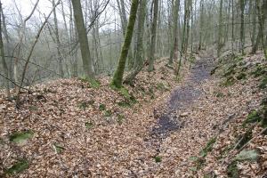 Ligne Maginot - A1 - LE GLACIS SUD - (Blockhaus pour canon) - Le fossé 'antichar' vers l'est