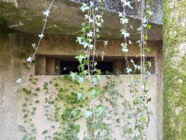 Ligne Maginot - A2 - MACQUENOISE NORD - (Blockhaus pour canon) - 