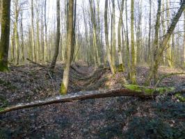 Ligne Maginot - A2 - MACQUENOISE NORD - (Blockhaus pour canon) - 