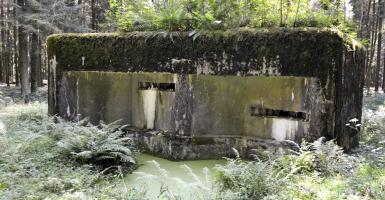 Ligne Maginot - A5 - LE DEBOUCHE - (Blockhaus pour canon) - 