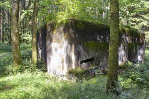 Ligne Maginot - A5 - LE DEBOUCHE - (Blockhaus pour canon) - 