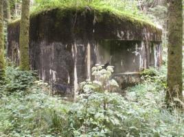 Ligne Maginot - A5 - LE DEBOUCHE - (Blockhaus pour canon) - 