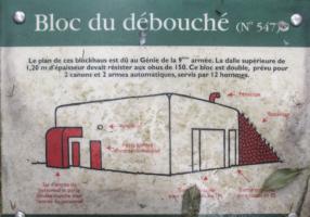 Ligne Maginot - A5 - LE DEBOUCHE - (Blockhaus pour canon) - Plaque explicative apposée à proximité du blockhaus.