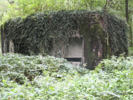 Ligne Maginot - A7 - LE MAMELON OUEST - (Blockhaus pour canon) - 