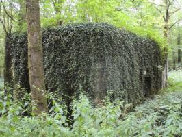 Ligne Maginot - A7 - LE MAMELON OUEST - (Blockhaus pour canon) - 