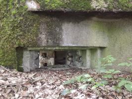 Ligne Maginot - BA6 - LA LOBIETTE - (Blockhaus pour canon) - 
