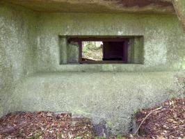 Ligne Maginot - BA6 - LA LOBIETTE - (Blockhaus pour canon) - 