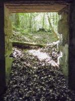 Ligne Maginot - BA6 - LA LOBIETTE - (Blockhaus pour canon) - 