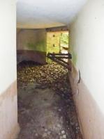 Ligne Maginot - BA6 - LA LOBIETTE - (Blockhaus pour canon) - 