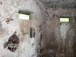 Ligne Maginot - Ba17 - CARREFOUR ALEXANDRE (Blockhaus pour canon) - 