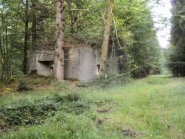 Ligne Maginot - B760 - CARREFOUR GRAMMONT - (Blockhaus pour canon) - Blockhaus situé dans son environnement.