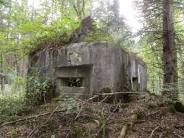 Ligne Maginot - B760 - CARREFOUR GRAMMONT - (Blockhaus pour canon) - 