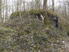 Ligne Maginot - B769 - ETANG DE LA FOLIE SUD - (Blockhaus pour canon) - 