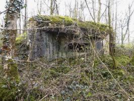 Ligne Maginot - B769 - ETANG DE LA FOLIE SUD - (Blockhaus pour canon) - 