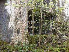 Ligne Maginot - B769 - ETANG DE LA FOLIE SUD - (Blockhaus pour canon) - 