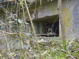 Ligne Maginot - B769 - ETANG DE LA FOLIE SUD - (Blockhaus pour canon) - 