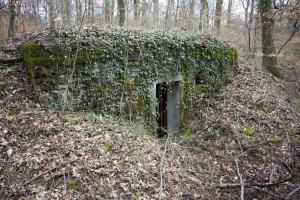 Ligne Maginot - BOIS DE TETING  (7°CIE II/146° RIF) - (PC de Sous-Quartier) - 