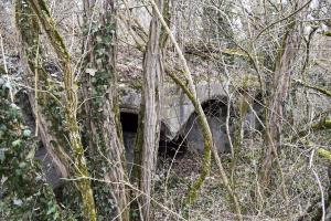 Ligne Maginot - NIEDERWALD - (Position d'artillerie préparée) - Soute à munitions 2