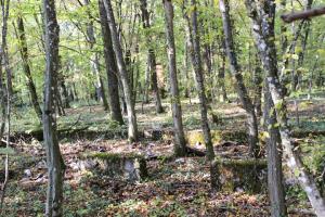 Ligne Maginot - TETING - (Casernement) - 