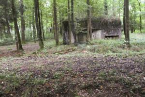 Ligne Maginot - A10 - LA LIMITE - (Blockhaus pour canon) - Blockhaus situé dans son environnement.