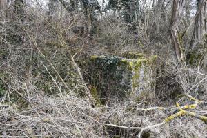 Ligne Maginot - LANGER ZUG 3 - (Abri) - Puits