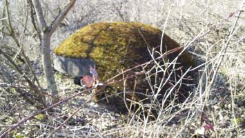 Ligne Maginot - KOENIGSWEG 1 - (Blockhaus pour arme infanterie) - 