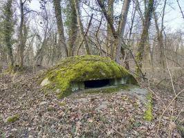 Ligne Maginot - PA DU CARREFOUR 252-3 - (Blockhaus pour arme infanterie) - La coupole recouverte de mousse.