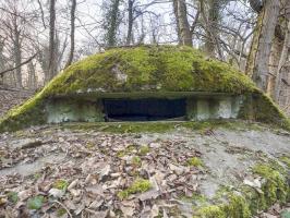 Ligne Maginot - PA DU CARREFOUR 252-3 - (Blockhaus pour arme infanterie) - La coupole recouverte de mousse.