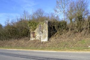 Ligne Maginot - CB120 - RISICKER - (Blockhaus pour canon) - Etat en février 2019 après débroussaillage.
