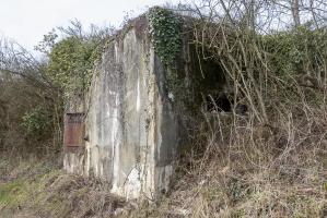 Ligne Maginot - CB120 - RISICKER - (Blockhaus pour canon) - Vue générale du blockhaus. 
On devine le créneau sous la broussaille.
