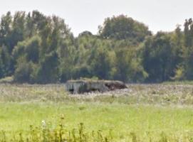 Ligne Maginot - B261 - RONCQ-MOVIAIRE (Blockhaus pour canon) - 