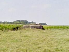 Ligne Maginot - BEF 741 - LES OBLARDS NORD - (Blockhaus pour arme infanterie) - 