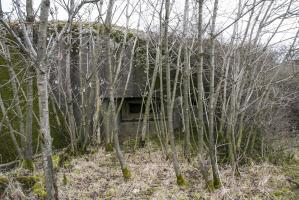 Ligne Maginot - BB23 - (Blockhaus pour canon) - 