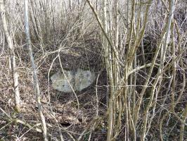 Ligne Maginot - BB19 - BOIS DU STUDEN (1° CEFV/I/161° RIF ?) - (PC de Sous-Quartier) - L'emplacement du deuxième alveole, totalement en ruine