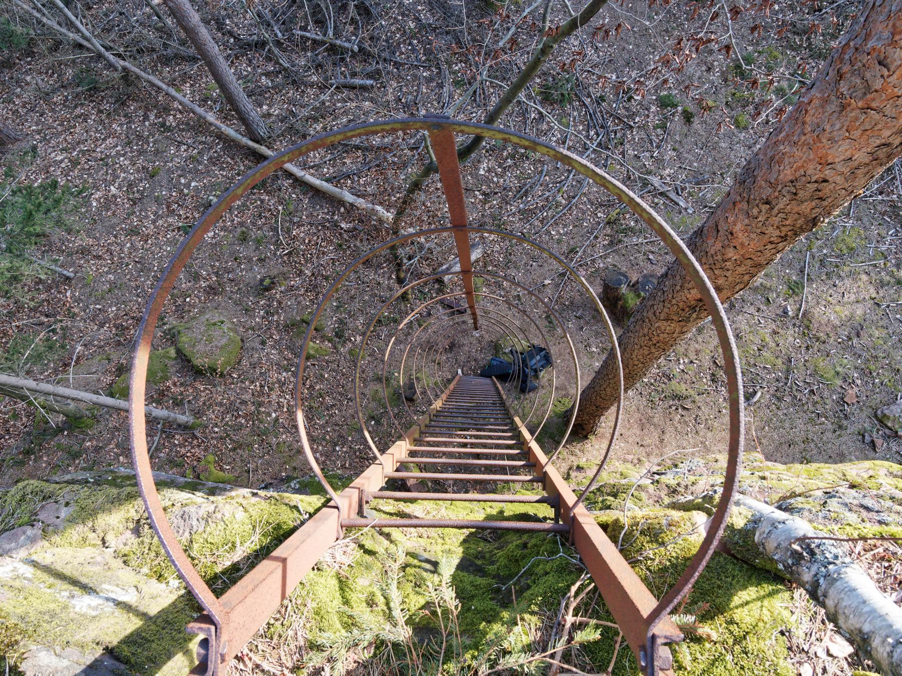 Ligne Maginot - WURZELKOPF - (Observatoire d'artillerie) - Vue du sol forestier d'en haut  - Jürgen Morr