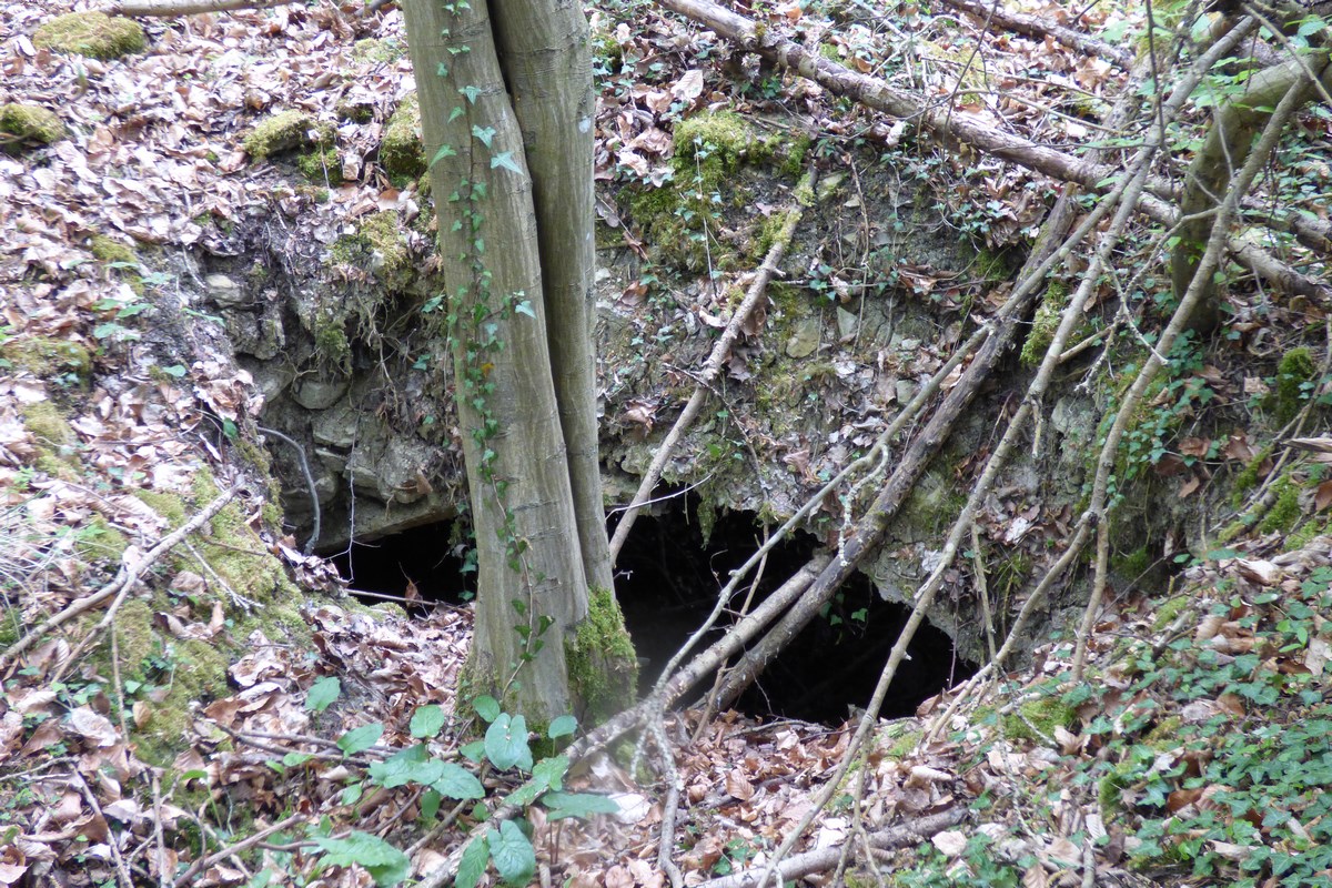 Ligne Maginot - GUNGLINGERWALD 5 - (Abri) - Entrée de l'abri