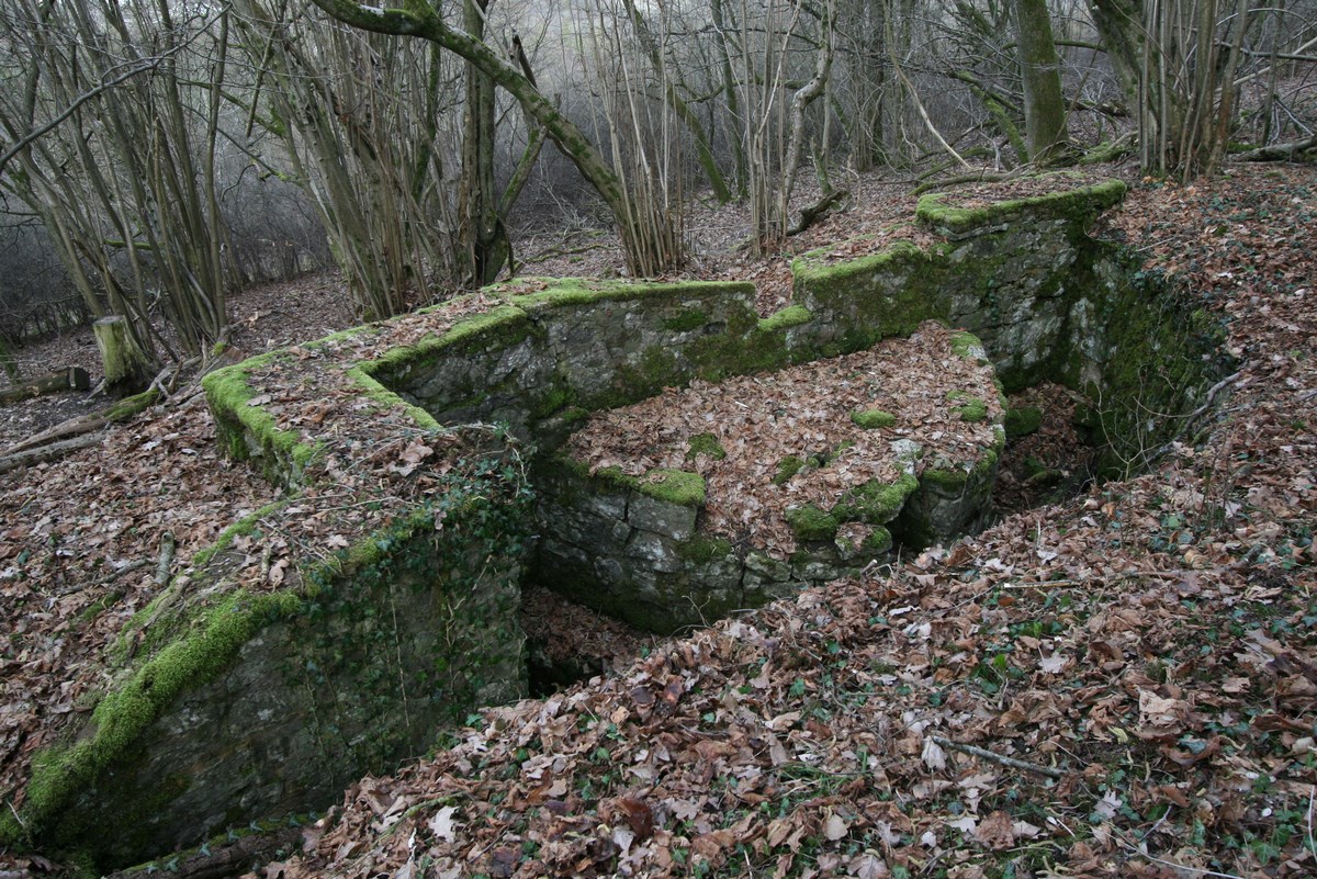 Ligne Maginot - MEISTERBUSCH 9 - (Cuve pour arme d'infanterie) - La cuve