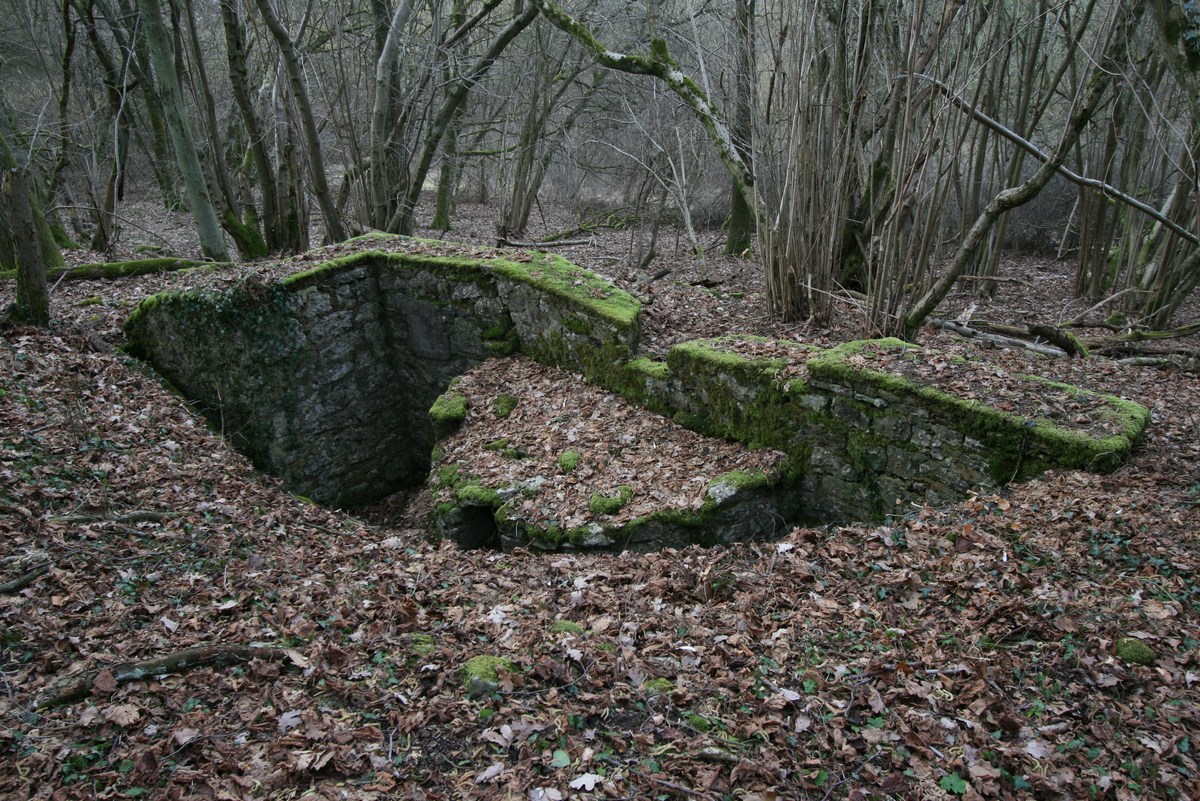 Ligne Maginot - MEISTERBUSCH 9 - (Cuve pour arme d'infanterie) - La cuve