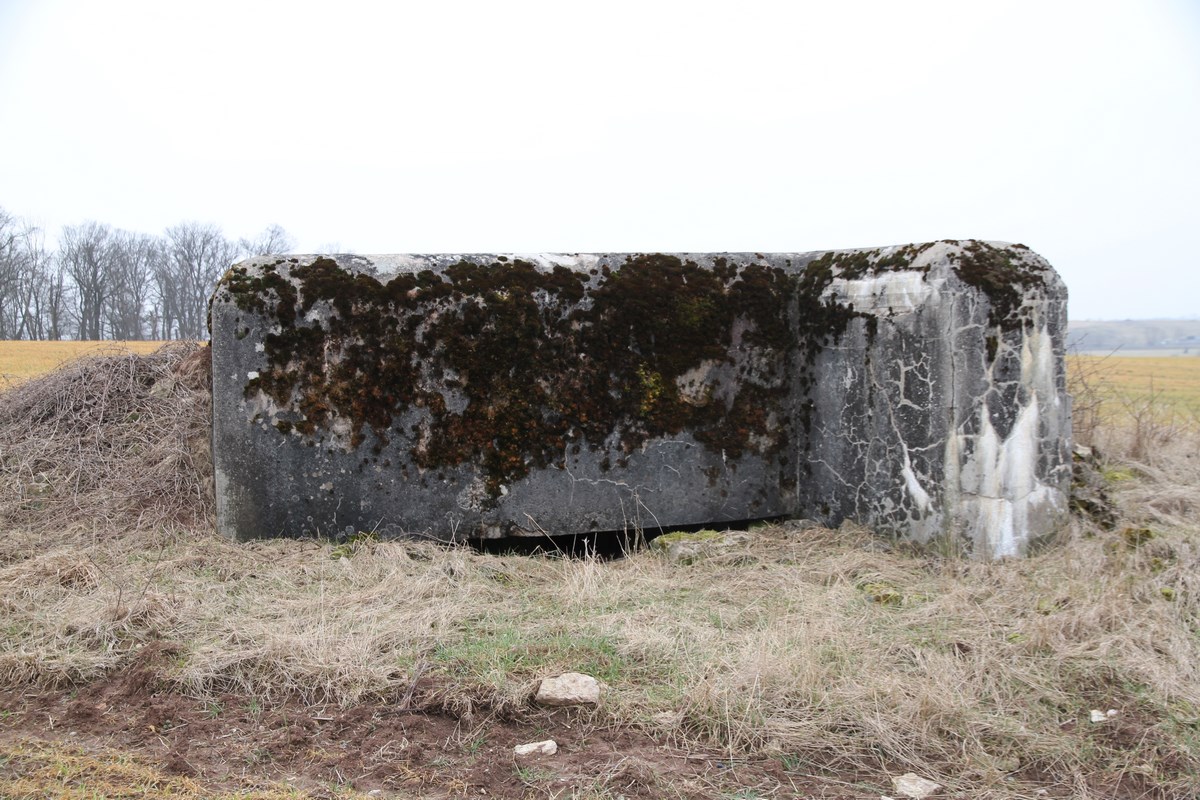 Ligne Maginot - PUTTWINKEL CENTRE - (Blockhaus pour arme infanterie) - 