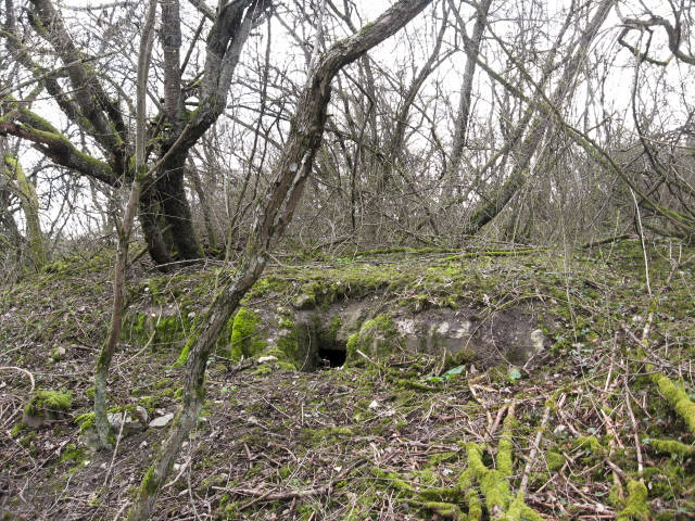 Ligne Maginot - TIEFGRABEN - (Abri) - Vue générale