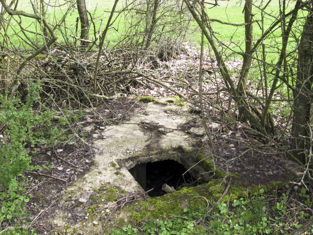 Ligne Maginot - TIEFGRABEN - (Stand de tir) - Restes du bâtiment de tir