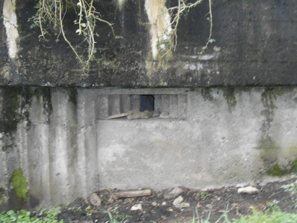 Ligne Maginot - WELSCHMUEHLE 2 - (Blockhaus pour arme infanterie) - Créneau FM