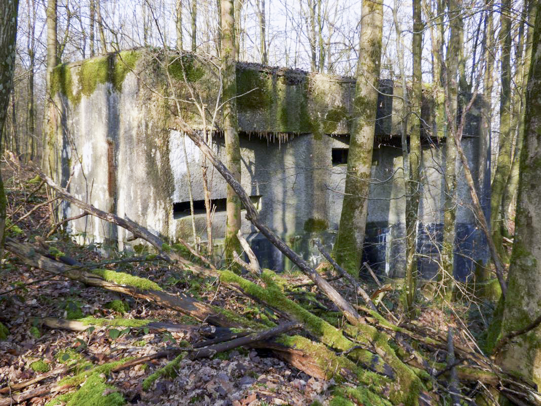 Ligne Maginot - A1 - LE GLACIS SUD - (Blockhaus pour canon) - 