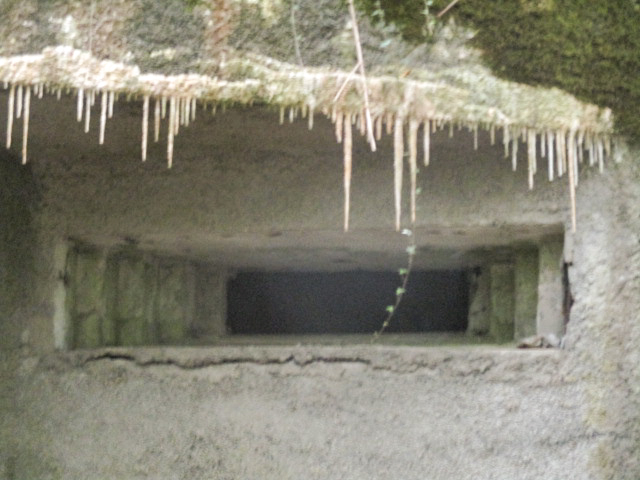 Ligne Maginot - A1 - LE GLACIS SUD - (Blockhaus pour canon) - 