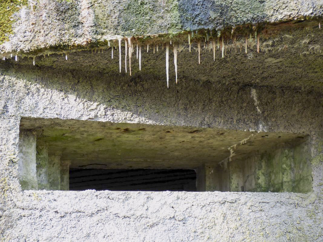 Ligne Maginot - A1 - LE GLACIS SUD - (Blockhaus pour canon) - 