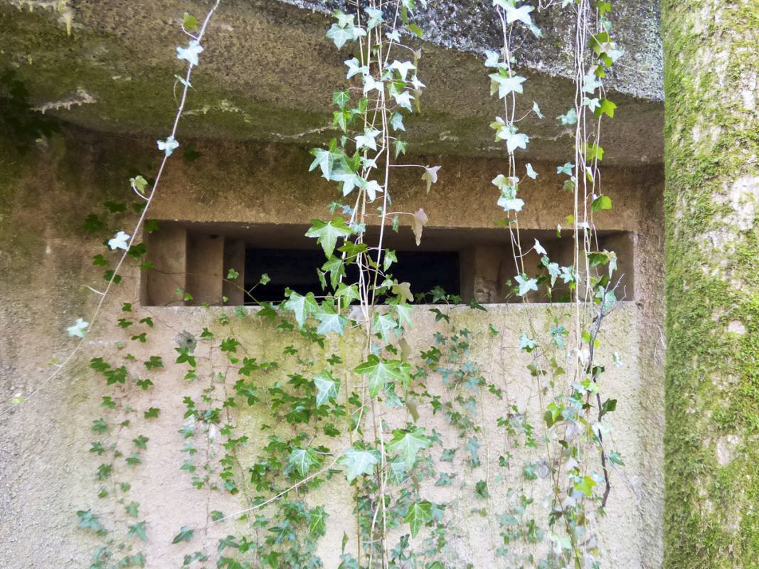 Ligne Maginot - A2 - MACQUENOISE NORD - (Blockhaus pour canon) - 