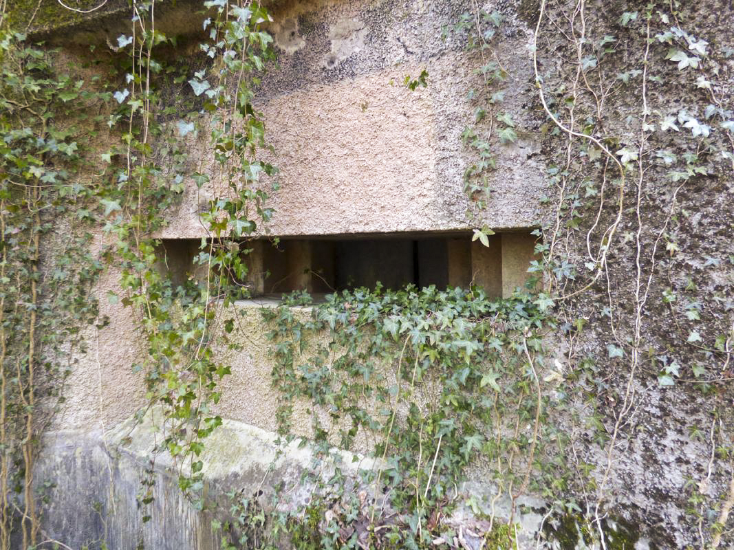 Ligne Maginot - A2 - MACQUENOISE NORD - (Blockhaus pour canon) - 
